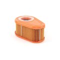 Briggs & Stratton Air Filter 792038